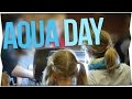 AQUA DAY 2015  | Bericht | GarnelenTv