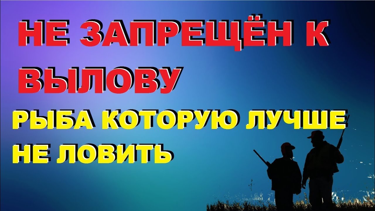 Почему не ловит ютуб. Почему не ловит ютуб