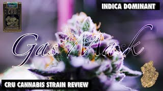 CRU CANNABIS | STRAIN REVIEW : GAS MASK