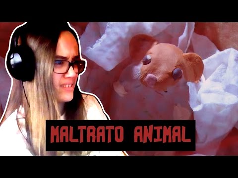 MALTRATO ANIMAL | Reacción a Hamster Hell