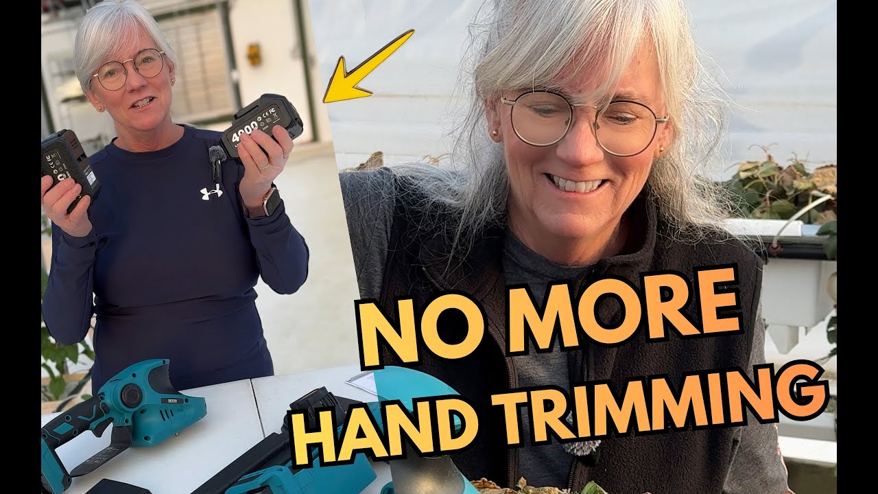 Hours of Work vs Minutes With This Strawberry Tool