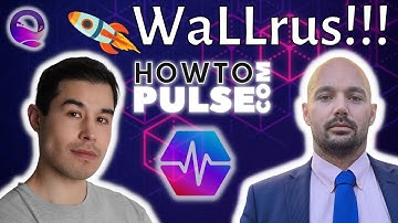 PulseChain Validators & How To Pulse Update - with WaLLrus
