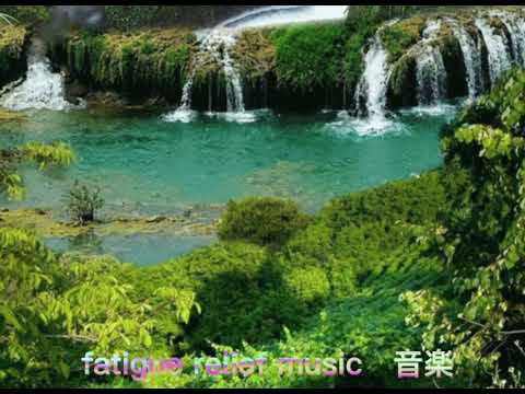 【森林狂想曲 2个小时】 fatigue relief music 轻音乐 钢琴音乐 - 疗愈音乐 - 放松解压,放鬆身心,輕音樂 ,適合放鬆,療癒,舒眠,減壓 ,读书