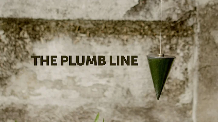 The Plumb Line