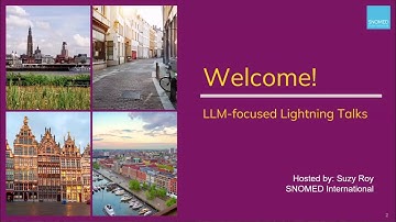 LLM-focused Lightning Talks: 202524 Park, 202596 Riedel, 202534 Baldini & 202532 van Mens