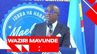 UDHIBITI WA MADINI YENYE DAMU | WAZIRI MAVUNDE AWEKA WAZI SERIKALI HAIJAZUIA ILA IMEWEKA TARATIBU