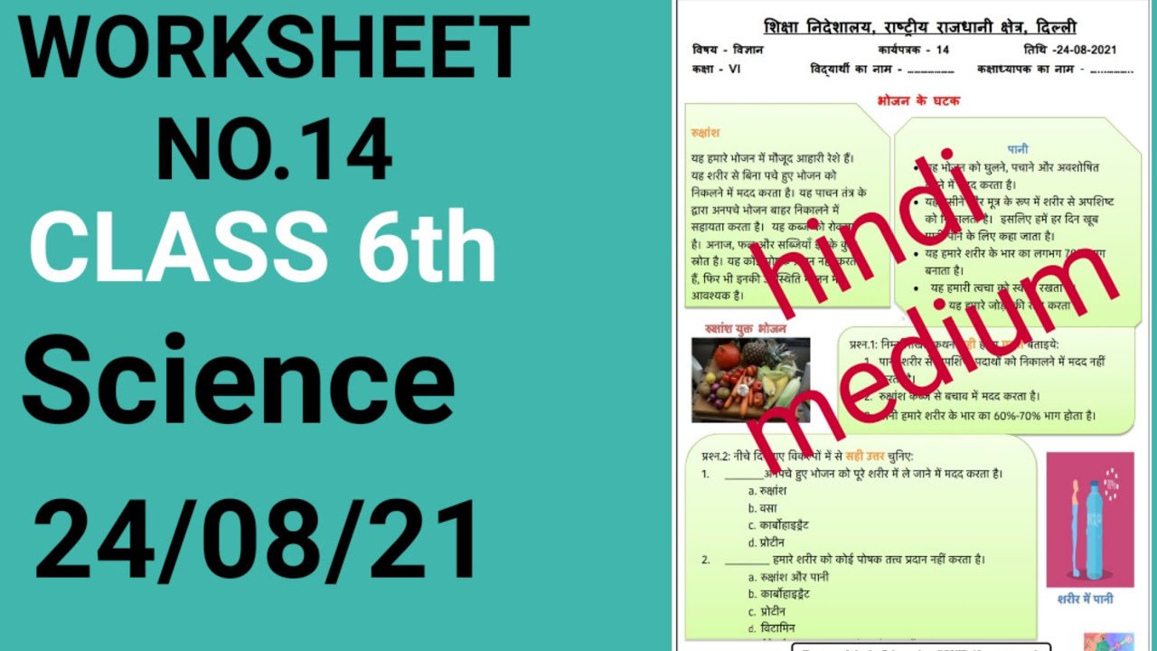 class-6th-science-worksheet-no-14-date-24-08-21-hindi-medium-science-worksheet-14-class-6-in