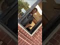 Woman pranks uncle at work by acting like rude drivethru customer