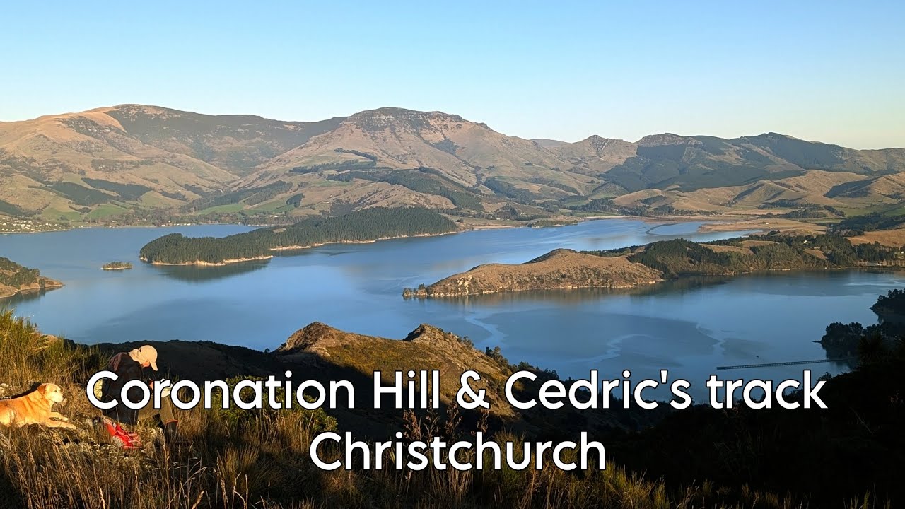 Christchurch City Views & Sunshine: Coronation Hill & Cedric's Track Adventure