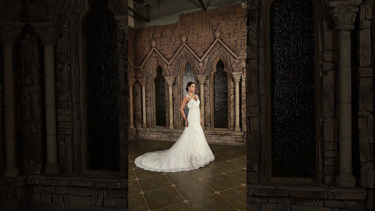 Straps Chapel Train Tulle Wedding Dress