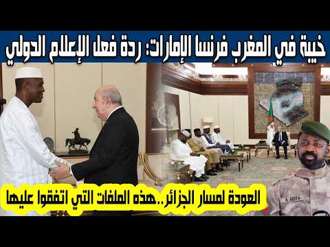 ردة فعل الإعلام الدولي عقب زيارة عبد الله مايغا إلى الجزائر اتفاق السلام ملفات ناقشها مع الرئيس تبون