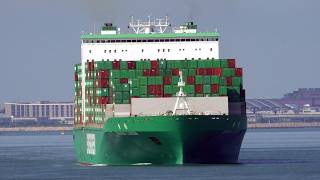 Container Ship《長青 EVER LIVEN》Passing  the Tsing Ma Bridge in HK 20261001_C0009