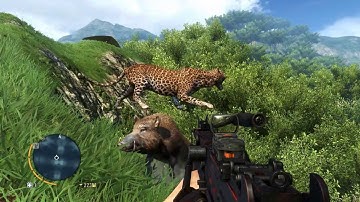 Far Cry 3 - Funny Glitch