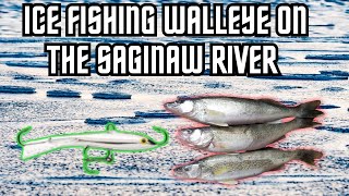 Ice Fishing Walleye On The Saginaw River PT2