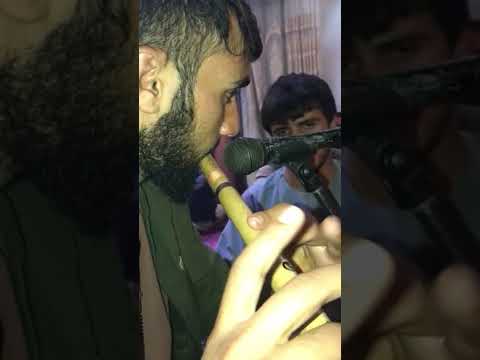 توله مهر تو زه سینه رفتنی نیست