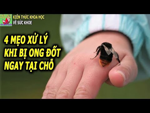 Video: Làm thế nào để loại bỏ tổ ong bắp cày kịp thời?