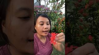 Bunga bisa dimakan #shorts #short #remix #bunga