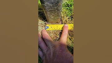 How to install a shade sail cheap, easy, and removable