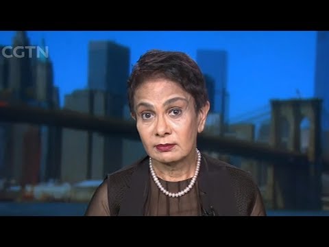 Dr. Azra Raza talks about cancer research and treatment in the U.S ...