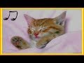 A Melhor Música para Relaxar o seu Gato - o seu gato dorme | Melhora a ansiedade de Separação 2017