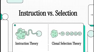 Instruction vs Selection Theory