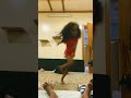 ٢٠ يوليو ٢٠٢٢