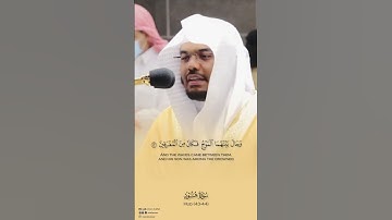 ياسر الدوسري سورة هود