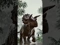 Triceratops in Rainy Jungle 🌧️ #wildlife #daynasor #daino #naturelovers #wildanimals #wildlife