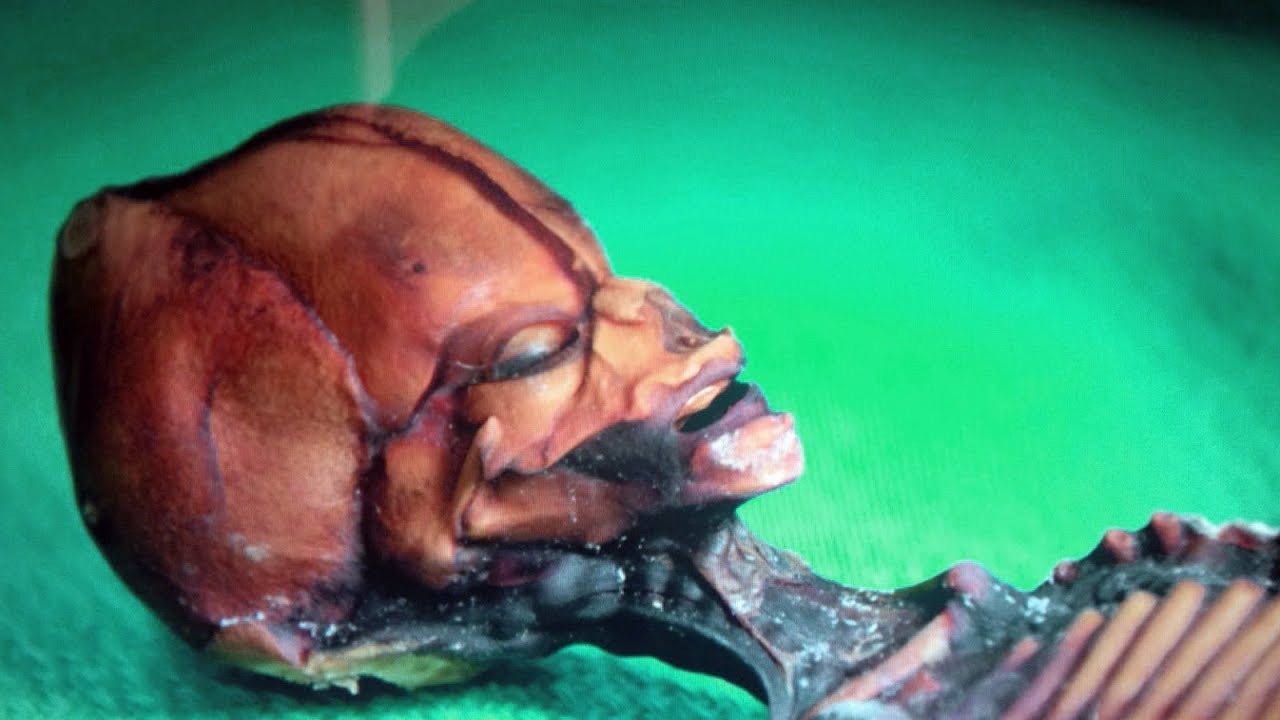 extraterrestre d'atacama