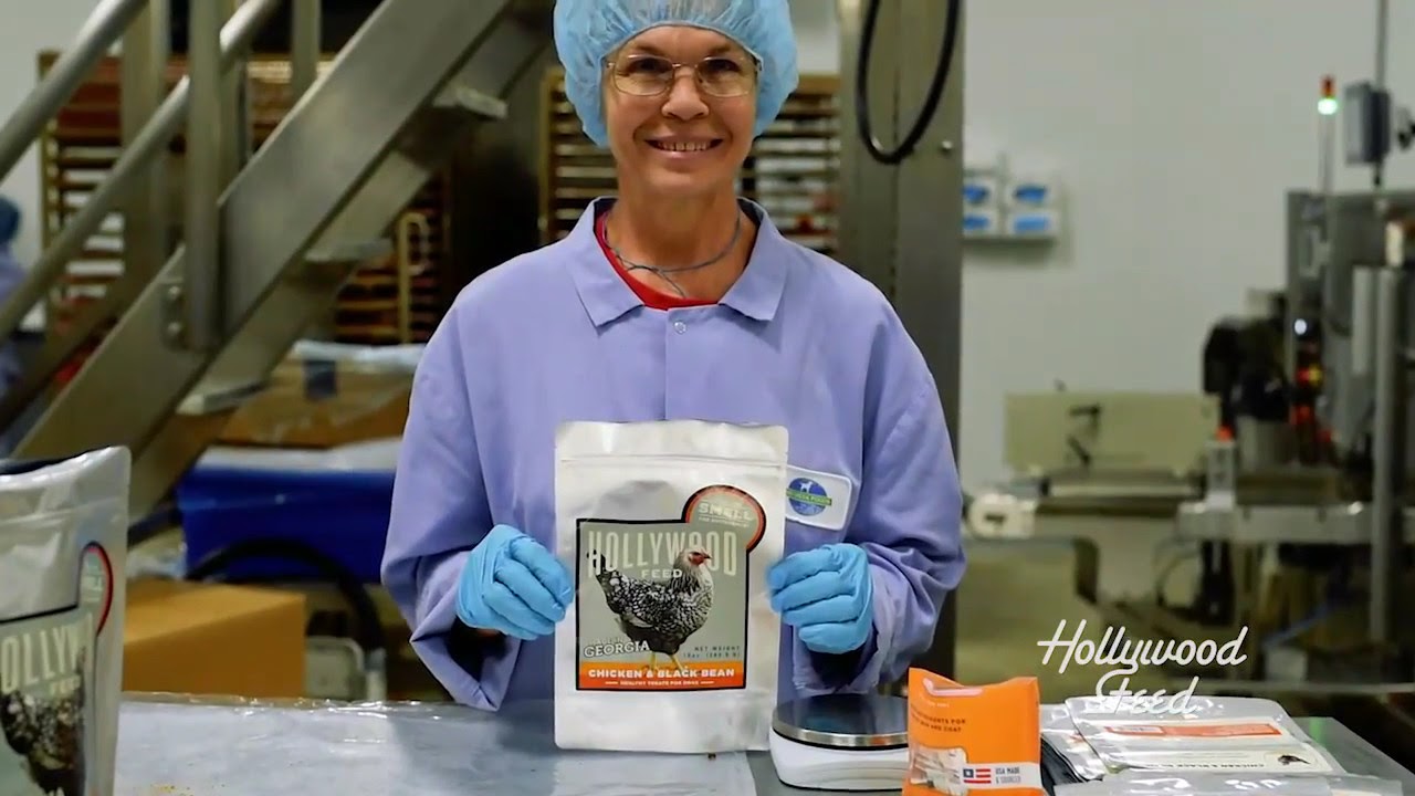 funny animal videos youtube 2019 Georgia Made Jerky Hollywood Feed