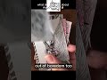 art in box #art #3d #animation