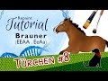 BRAUNER REPAINT TUTORIAL (EEAA, EeAa) mit Pastell - Pferdegenetik-Repaint-Kurs - Teil 4
