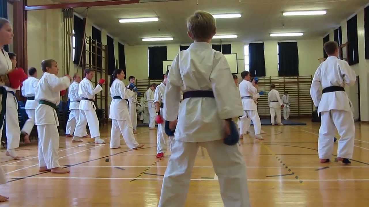 Zack at Washinkai Karate training