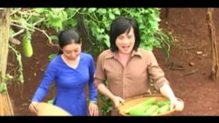 Bông Bí Vàng - Lý Thái Sơn