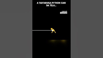 #2 A Tartaruga Python caiu da tela e O erro 