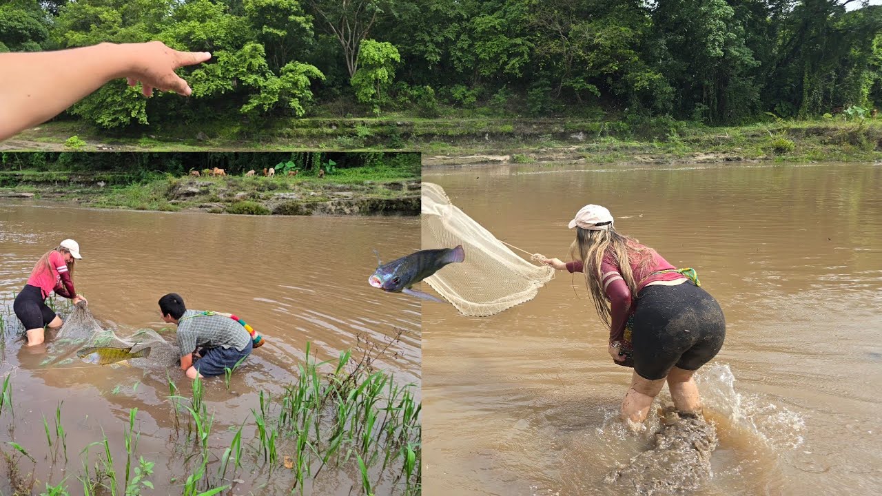 🚨🐟Una tarde de pesca con atarraya muy  difícil casi nos quedamos sin.... #nature