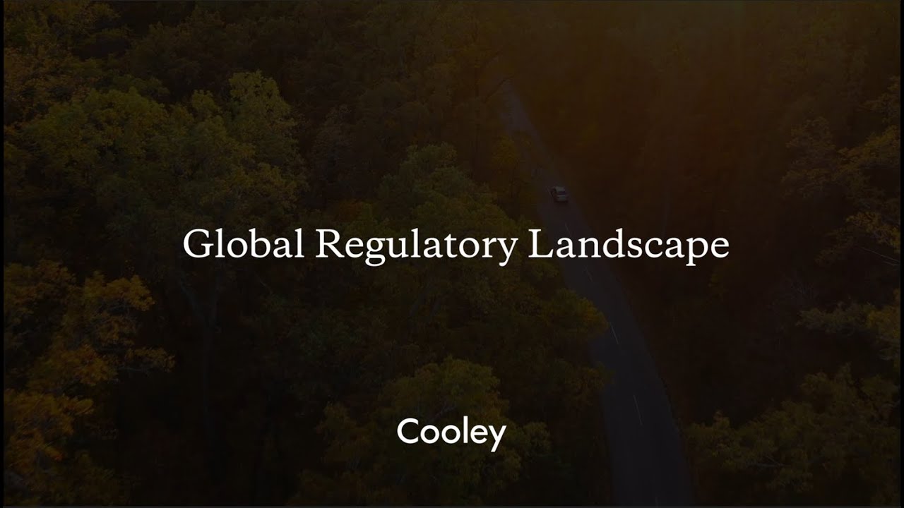 ESG Insights: What You Need to Know Now – Global Regulatory Landscape