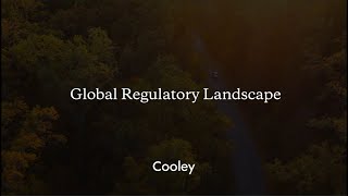 ESG Insights: What You Need to Know Now – Global Regulatory Landscape Profile
