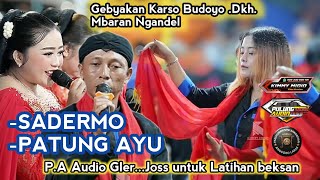 Sadermo  Patung Ayu  Tayub Gebyakan Karso Budoyo Pulung Agung 