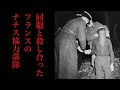 【ゆっくり解説】フランス民兵団・ミリス、ナチスの協力部隊。