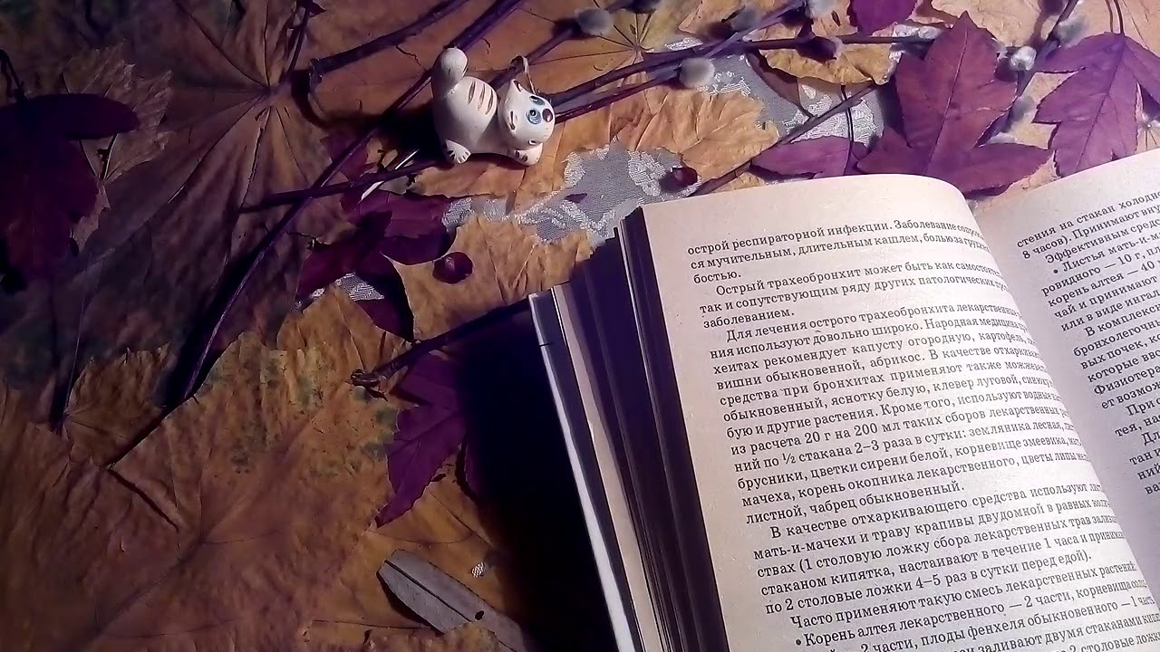 Трахеобронхит острый - лечение. - YouTube