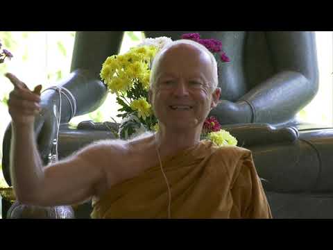 Questions & Answers by Phra Ajaan Thanissaro ( 7 Dec 2019 )