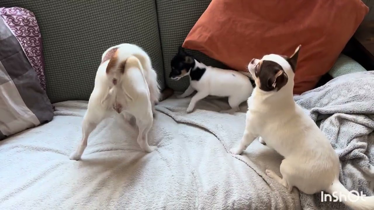 And Then Grumpy Uncle Charlie Said: Enough.