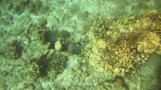 94Dfa50D 431E 45A7 933E 49579E4B9Acc