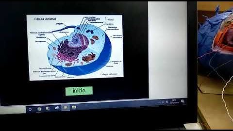 La célula. Scratch + MakeyMakey