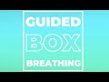 Easy 5 minute box breathing exercise for reducing tinnitus and anxiety