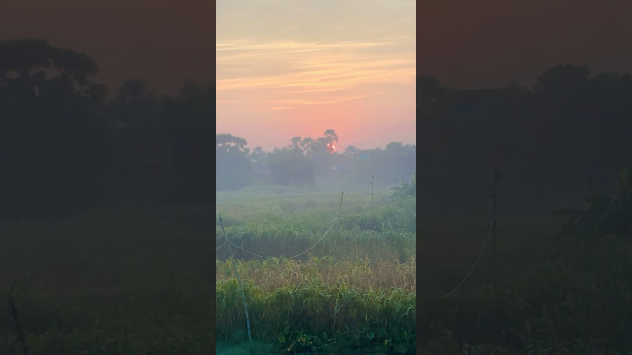 good morning 🙏🙏🙏🙏#