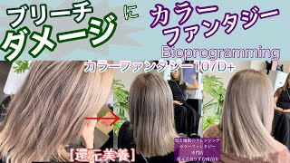 Color Fantasy 107D+ for bleach-damaged hair #Bioprogramming #Color