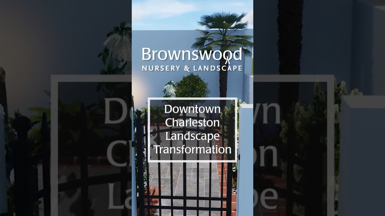 Downtown Charleston, SC - Outdoor Living _Landscape Transformation