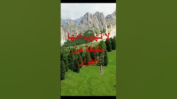قران كريم #الجزائر #اكسبلور #مصر #دويتو #تيك_توك #لايك #duet #ترند #قرآن #راحة_نفسية #السعودية #قطر